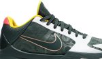 nike_zoom_kobe_5_protro__eybl__cd4991_300_0_92740.jpeg